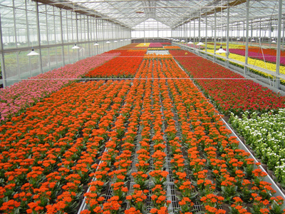 温室花卉种植,设施设备优选